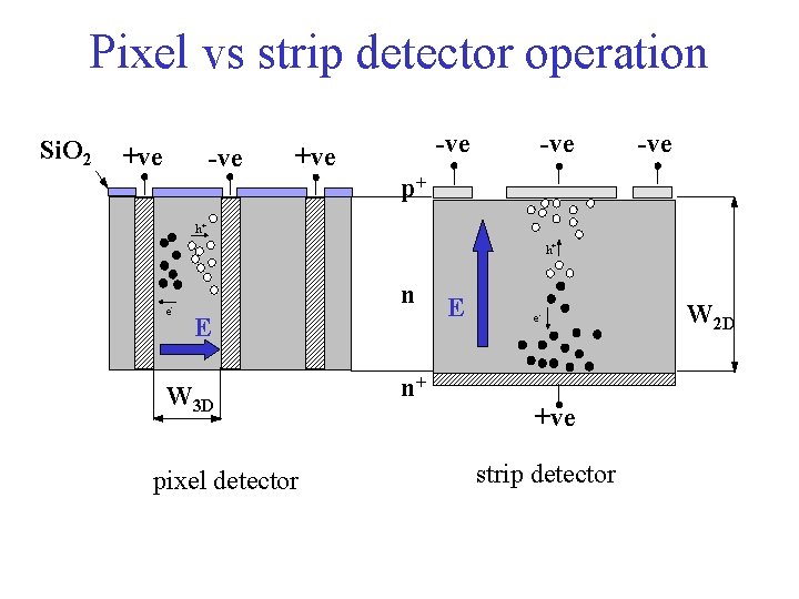 Pixel vs strip detector operation Si. O 2 +ve -ve -ve p+ h+ h+