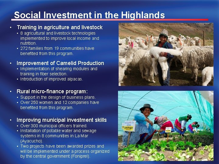 Social Investment in the Highlands • Training in agriculture and livestock • 8 agricultural