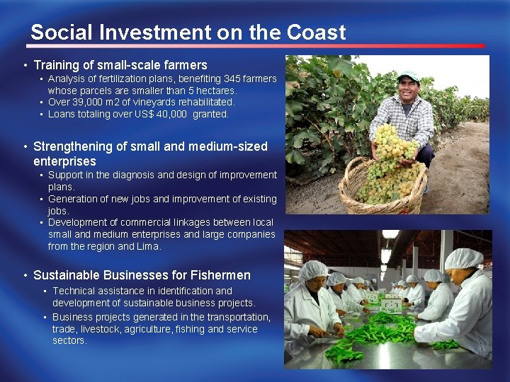 Social Investment on the Coast • Training of small-scale farmers • Analysis of fertilization