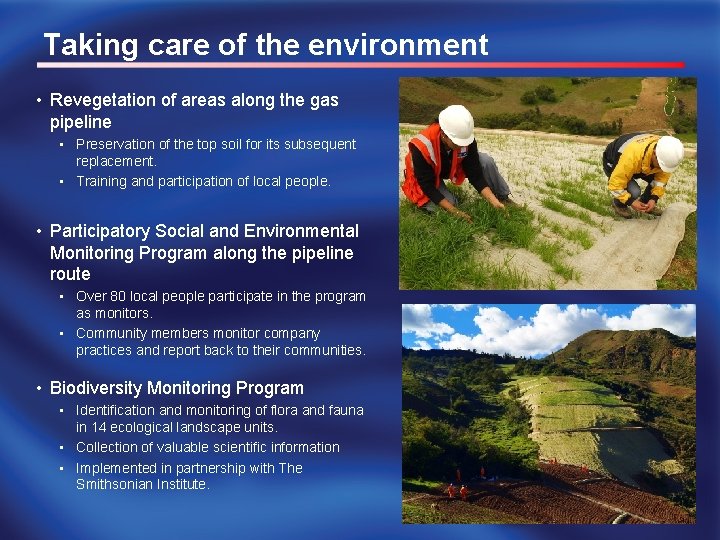 Taking care of the environment • Revegetation of areas along the gas pipeline •