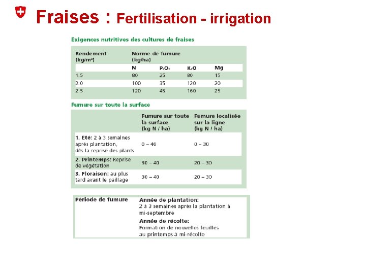 Fraises : Fertilisation - irrigation 