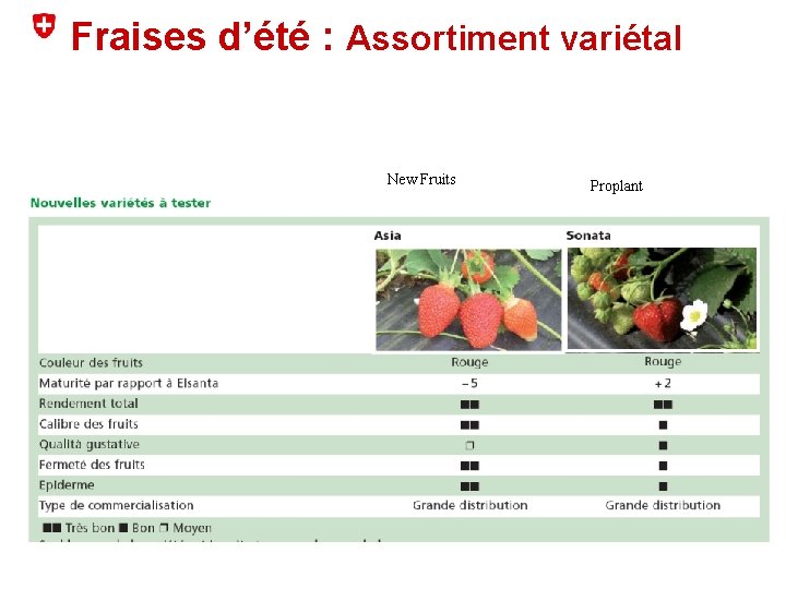 Fraises d’été : Assortiment variétal New Fruits Proplant 