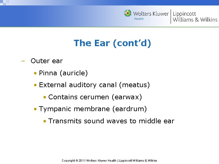 The Ear (cont’d) – Outer ear • Pinna (auricle) • External auditory canal (meatus)