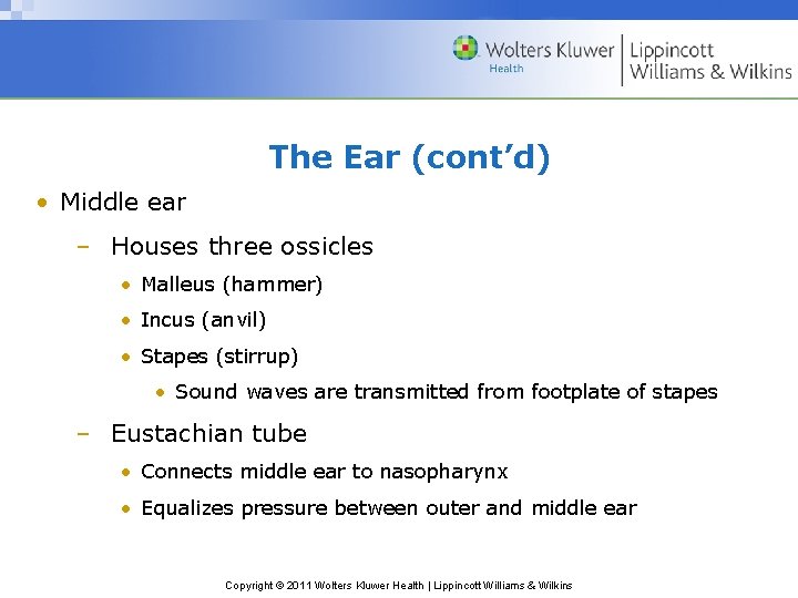 The Ear (cont’d) • Middle ear – Houses three ossicles • Malleus (hammer) •