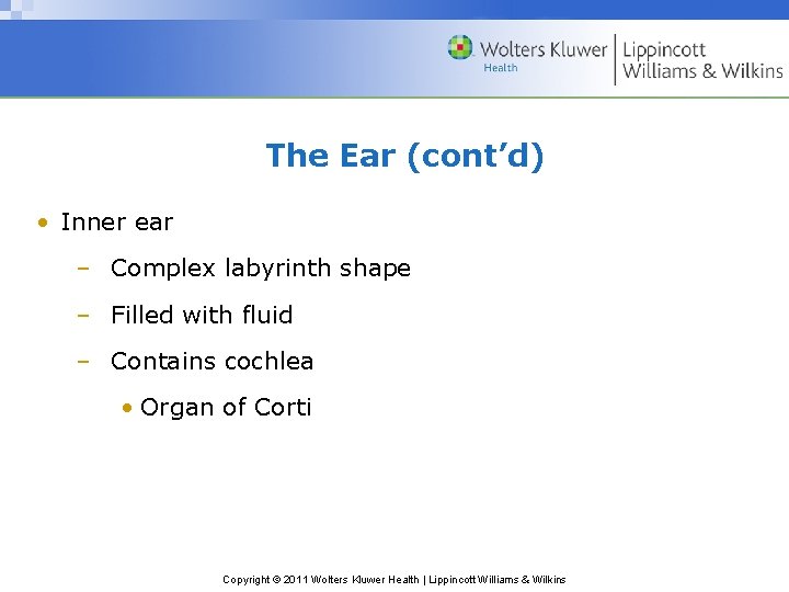 The Ear (cont’d) • Inner ear – Complex labyrinth shape – Filled with fluid
