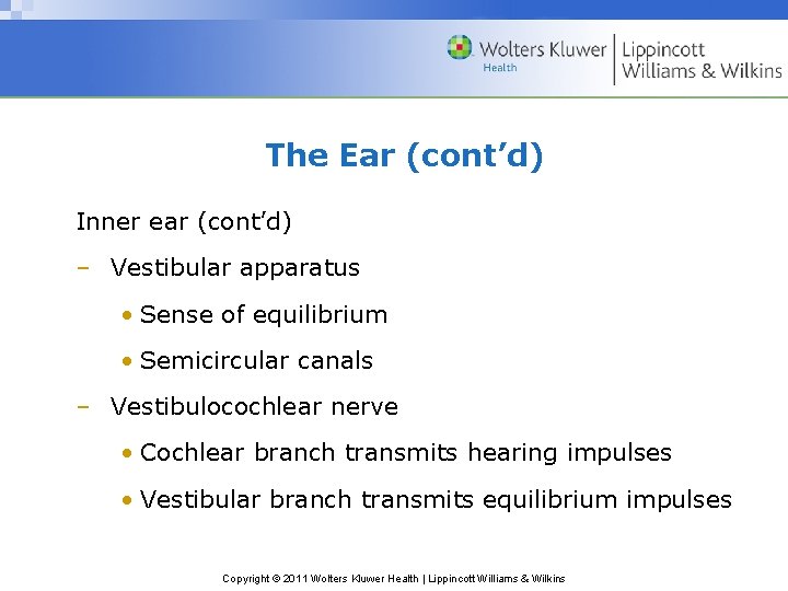 The Ear (cont’d) Inner ear (cont’d) – Vestibular apparatus • Sense of equilibrium •