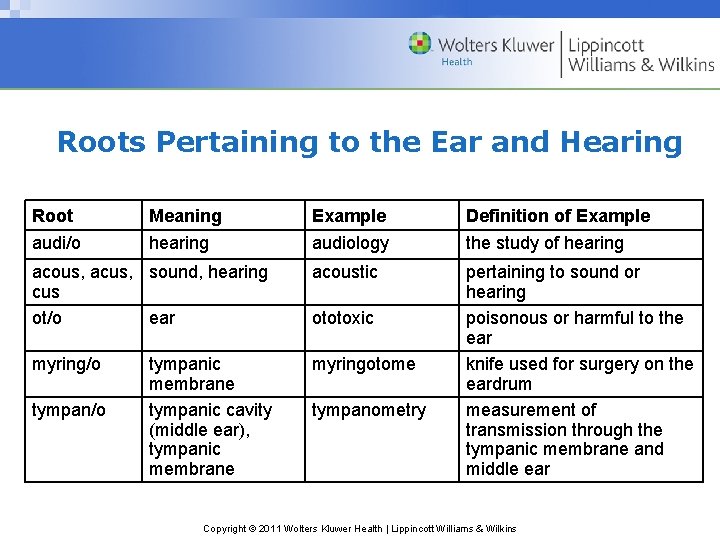 Roots Pertaining to the Ear and Hearing Root audi/o Example audiology Definition of Example