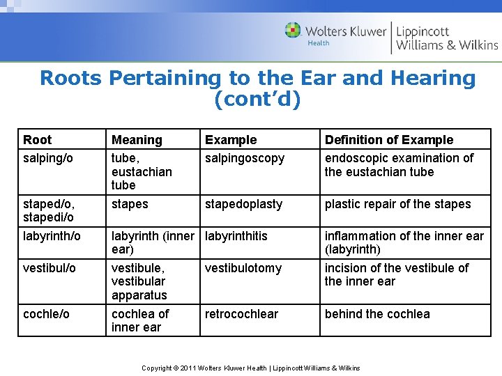 Roots Pertaining to the Ear and Hearing (cont’d) Root salping/o staped/o, stapedi/o labyrinth/o vestibul/o