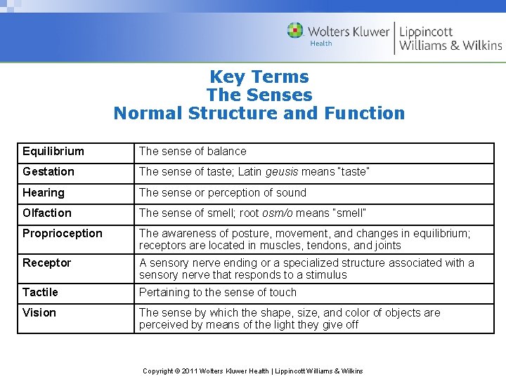 Key Terms The Senses Normal Structure and Function Equilibrium The sense of balance Gestation
