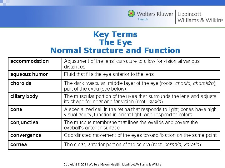 Key Terms The Eye Normal Structure and Function accommodation Adjustment of the lens’ curvature