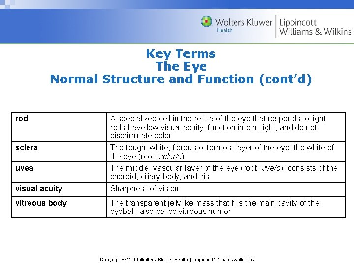 Key Terms The Eye Normal Structure and Function (cont’d) rod A specialized cell in