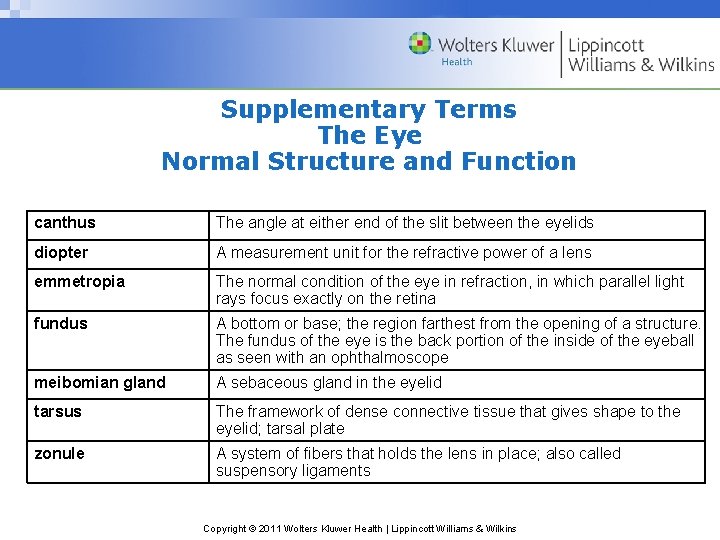 Supplementary Terms The Eye Normal Structure and Function canthus The angle at either end