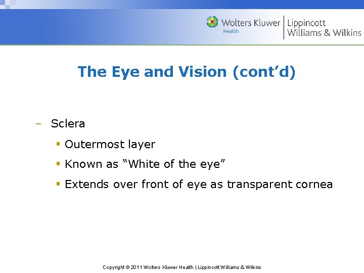 The Eye and Vision (cont’d) – Sclera Outermost layer Known as “White of the