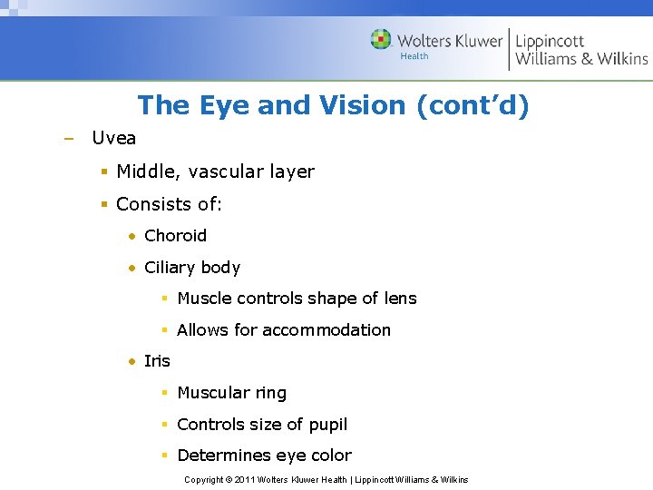 The Eye and Vision (cont’d) – Uvea Middle, vascular layer Consists of: • Choroid