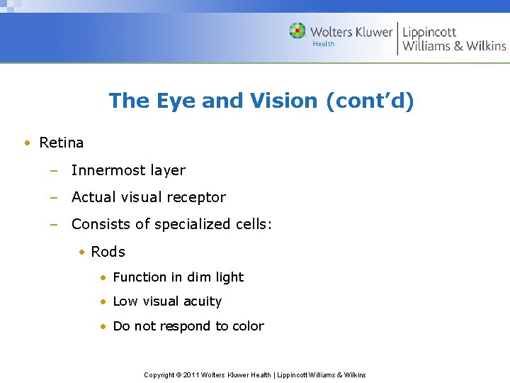 The Eye and Vision (cont’d) • Retina – Innermost layer – Actual visual receptor