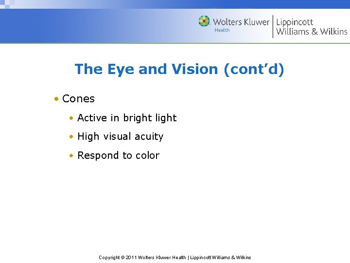 The Eye and Vision (cont’d) • Cones • Active in bright light • High