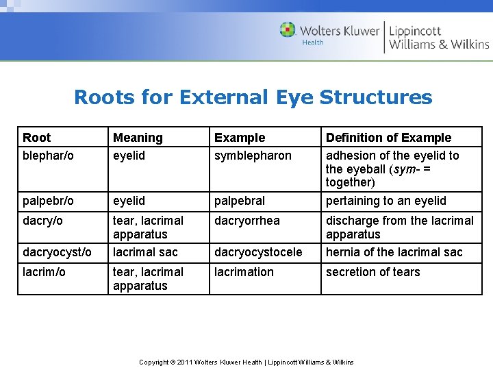 Roots for External Eye Structures Root blephar/o Meaning eyelid Example symblepharon palpebr/o eyelid palpebral