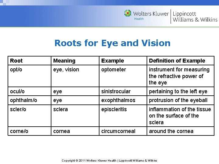 Roots for Eye and Vision Root Meaning Example Definition of Example opt/o eye, vision