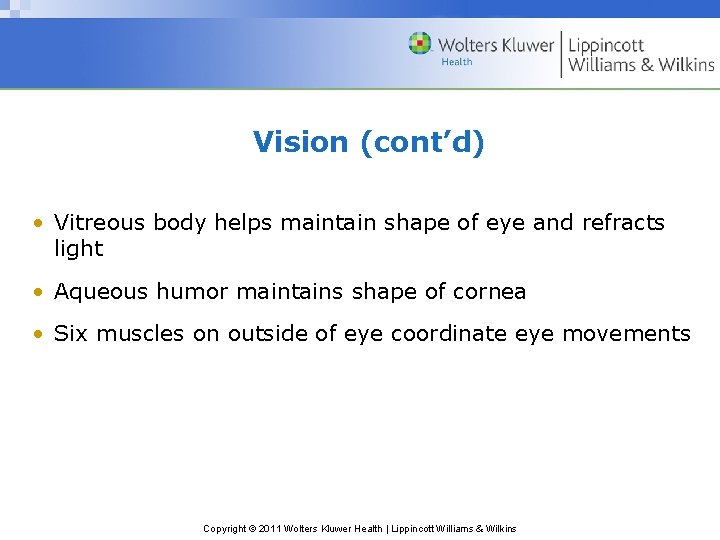Vision (cont’d) • Vitreous body helps maintain shape of eye and refracts light •