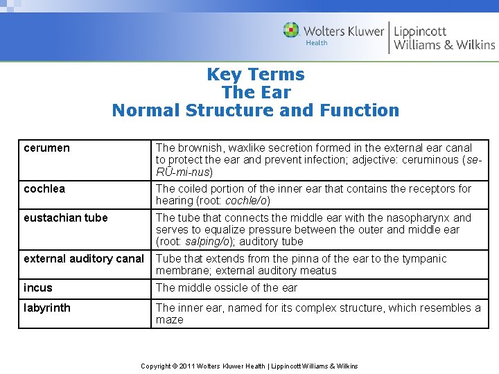 Key Terms The Ear Normal Structure and Function cerumen The brownish, waxlike secretion formed