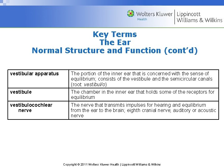 Key Terms The Ear Normal Structure and Function (cont’d) vestibular apparatus The portion of