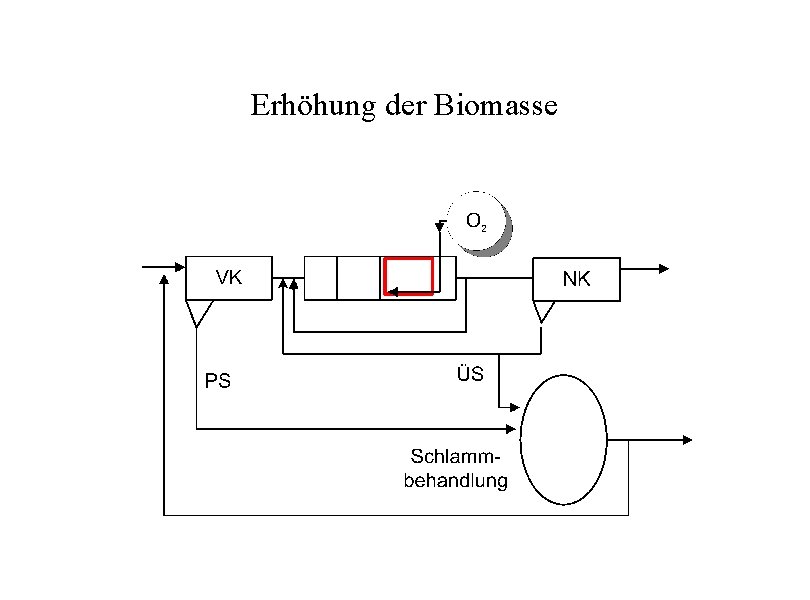 Erhöhung der Biomasse 