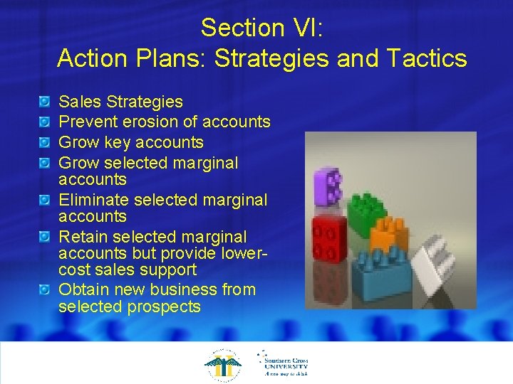 Section VI: Action Plans: Strategies and Tactics Sales Strategies Prevent erosion of accounts Grow