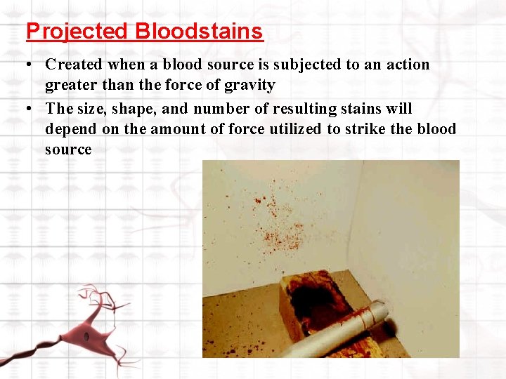 FORENSIC SEROLOGY Blood A complex mixture of cells