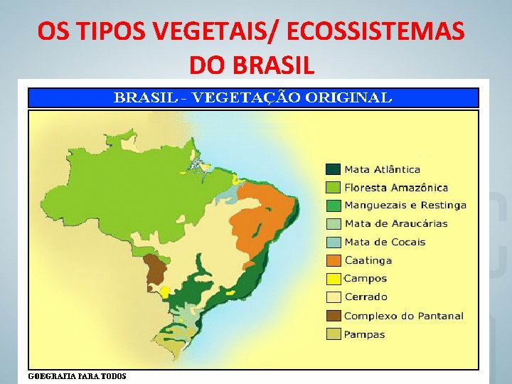 OS TIPOS VEGETAIS/ ECOSSISTEMAS DO BRASIL 