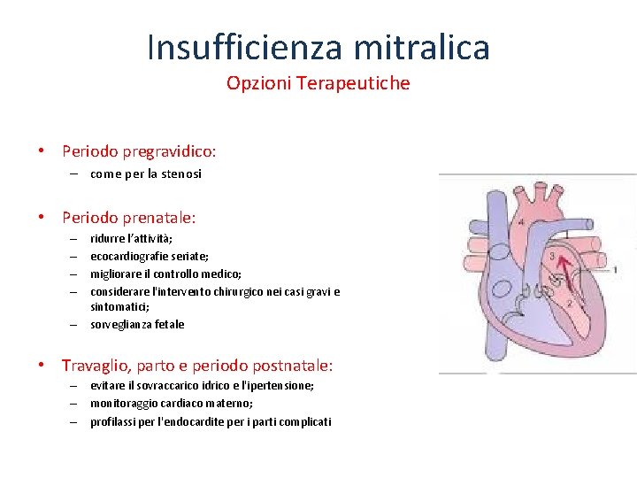 Insufficienza mitralica Opzioni Terapeutiche • Periodo pregravidico: – come per la stenosi • Periodo