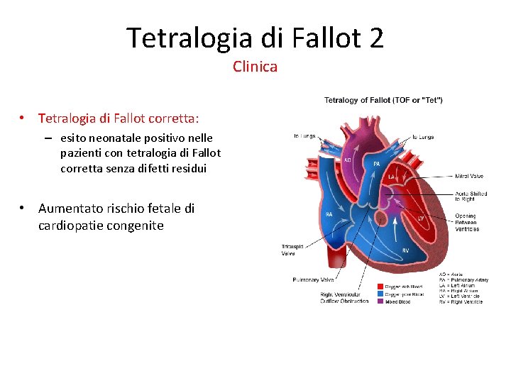 Tetralogia di Fallot 2 Clinica • Tetralogia di Fallot corretta: – esito neonatale positivo