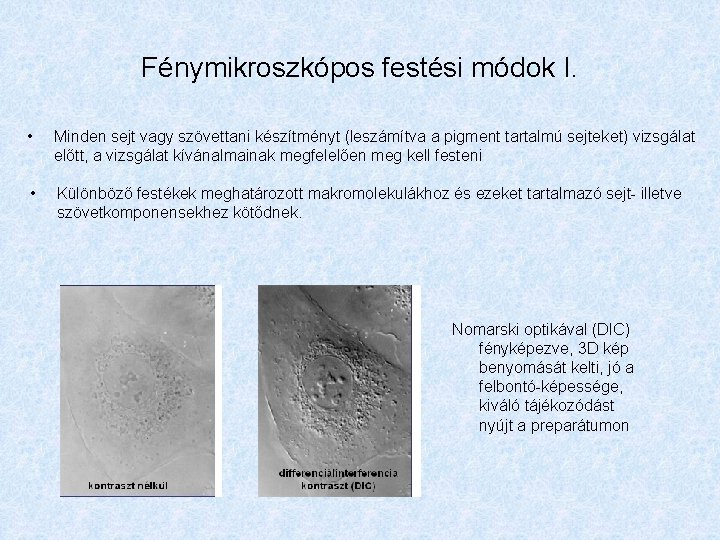 Fénymikroszkópos festési módok I. • Minden sejt vagy szövettani készítményt (leszámítva a pigment tartalmú