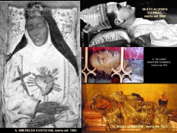 BEATO ALOISIUS STEPINAC, morto nel 1960 S. SILVANO MARTIRE ROMANO, morto nel 333 S. BEATO ALOISIUS STEPINAC, morto nel 1960 S. SILVANO MARTIRE ROMANO, morto nel 333 S.
