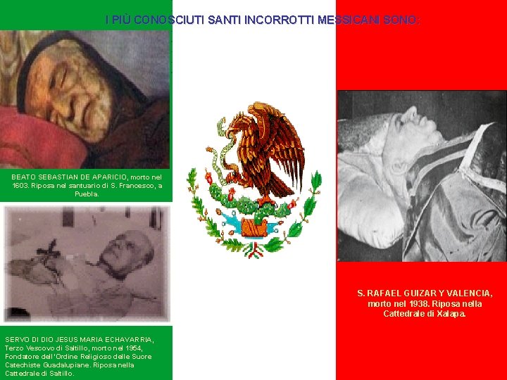 I PIÙ CONOSCIUTI SANTI INCORROTTI MESSICANI SONO: BEATO SEBASTIAN DE APARICIO, morto nel 1603. I PIÙ CONOSCIUTI SANTI INCORROTTI MESSICANI SONO: BEATO SEBASTIAN DE APARICIO, morto nel 1603.