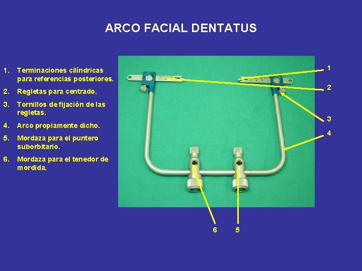 ARCO FACIAL DENTATUS 1. Terminaciones cilíndricas para referencias posteriores. 2. Regletas para centrado. 3.