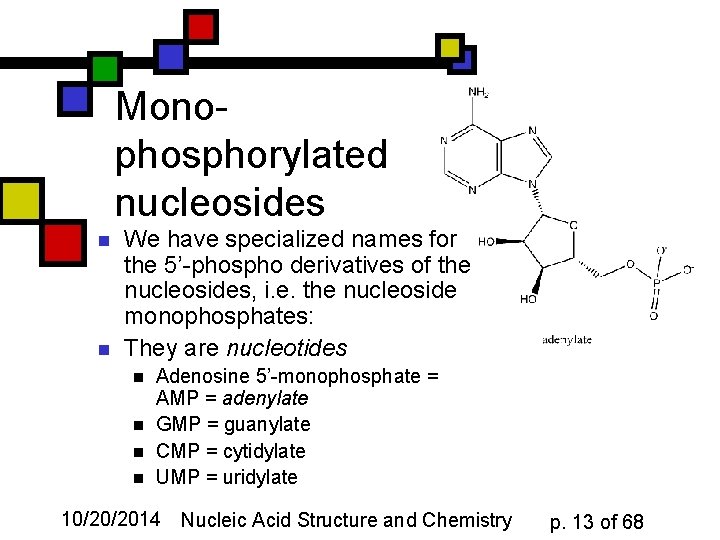 Monophosphorylated nucleosides n n We have specialized names for the 5’-phospho derivatives of the