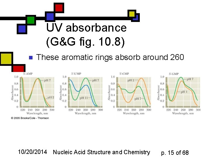 UV absorbance (G&G fig. 10. 8) n These aromatic rings absorb around 260 10/20/2014