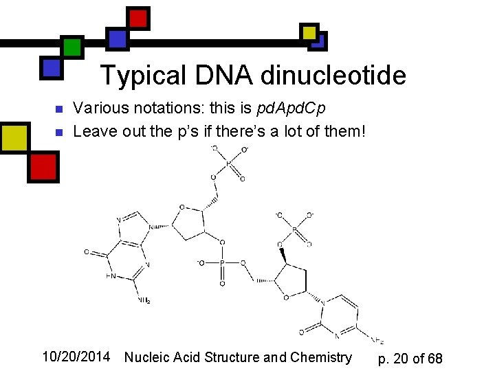 Typical DNA dinucleotide n n Various notations: this is pd. Apd. Cp Leave out