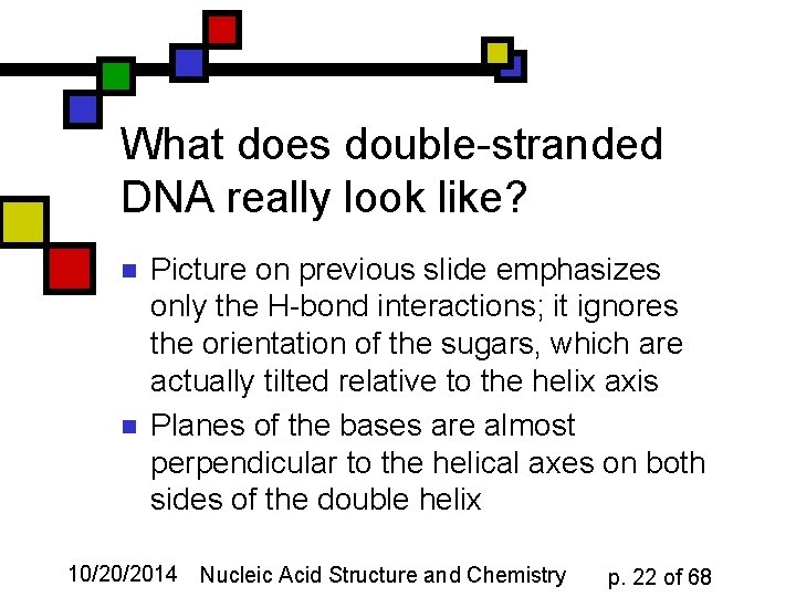 What does double-stranded DNA really look like? n n Picture on previous slide emphasizes
