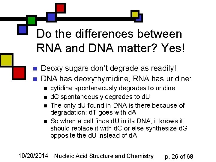 Do the differences between RNA and DNA matter? Yes! n n Deoxy sugars don’t