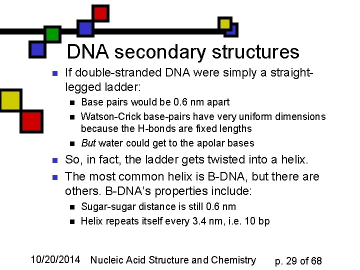 DNA secondary structures n If double-stranded DNA were simply a straightlegged ladder: n n