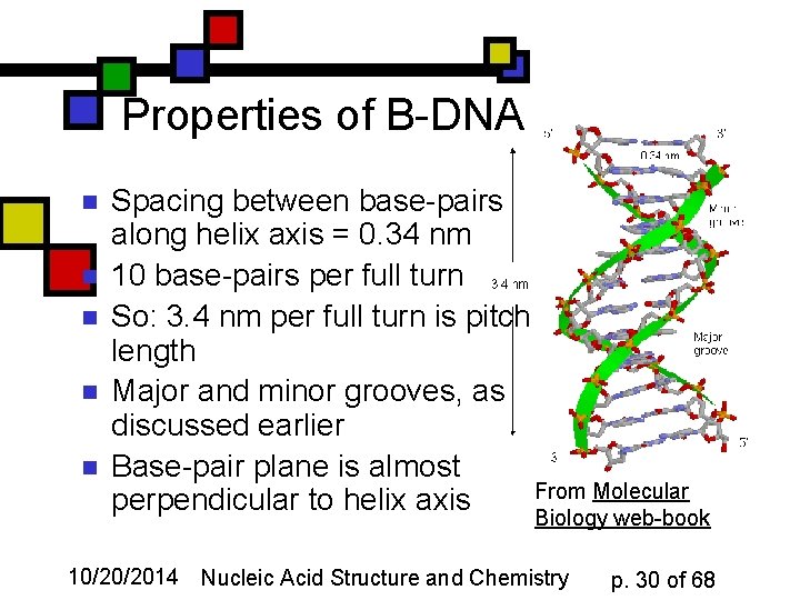 Properties of B-DNA n n n Spacing between base-pairs along helix axis = 0.