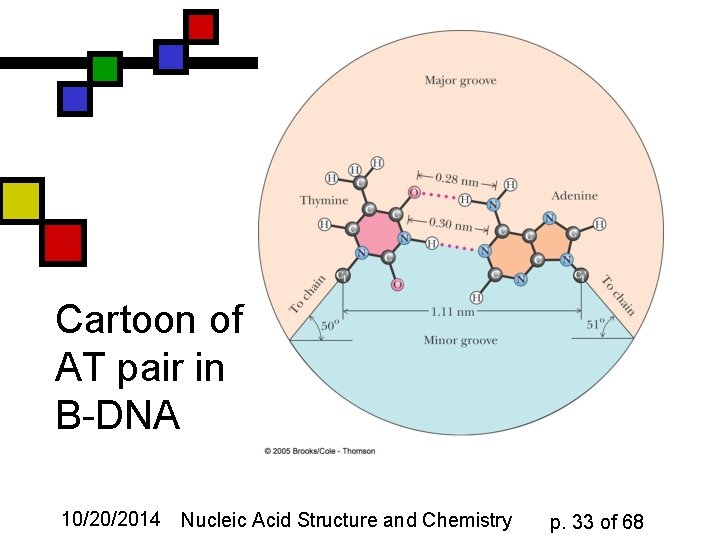 Cartoon of AT pair in B-DNA 10/20/2014 Nucleic Acid Structure and Chemistry p. 33