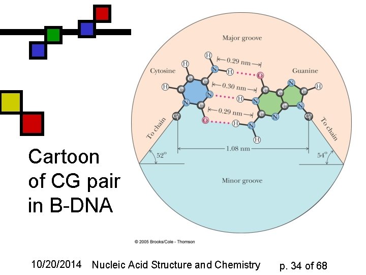 Cartoon of CG pair in B-DNA 10/20/2014 Nucleic Acid Structure and Chemistry p. 34