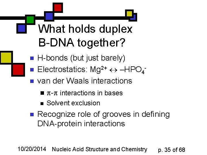 What holds duplex B-DNA together? n n n H-bonds (but just barely) Electrostatics: Mg