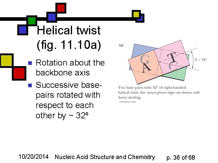 Helical twist (fig. 11. 10 a) n n Rotation about the backbone axis Successive