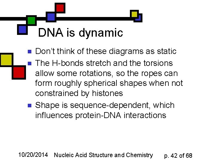 DNA is dynamic n n n Don’t think of these diagrams as static The