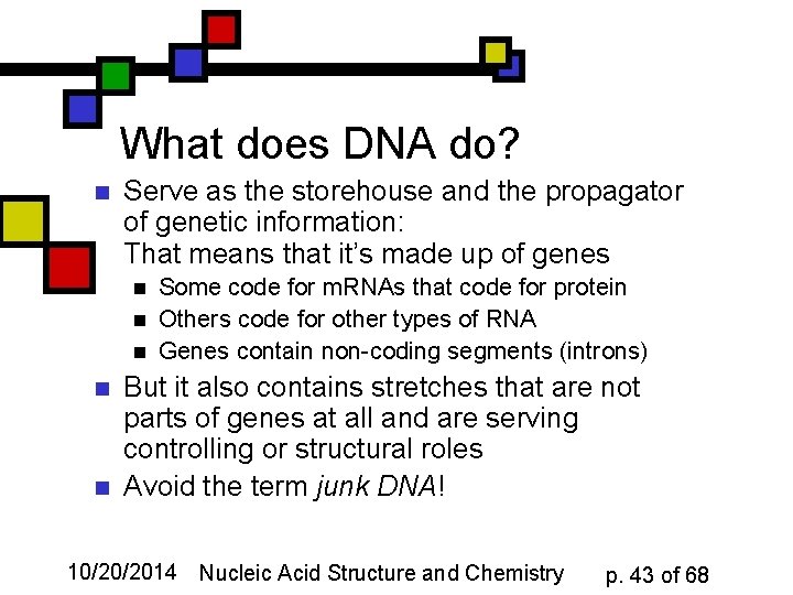 What does DNA do? n Serve as the storehouse and the propagator of genetic