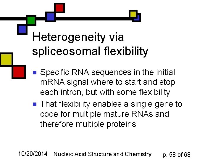 Heterogeneity via spliceosomal flexibility n n Specific RNA sequences in the initial m. RNA