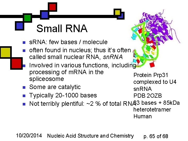 Small RNA n n n s. RNA: few bases / molecule often found in